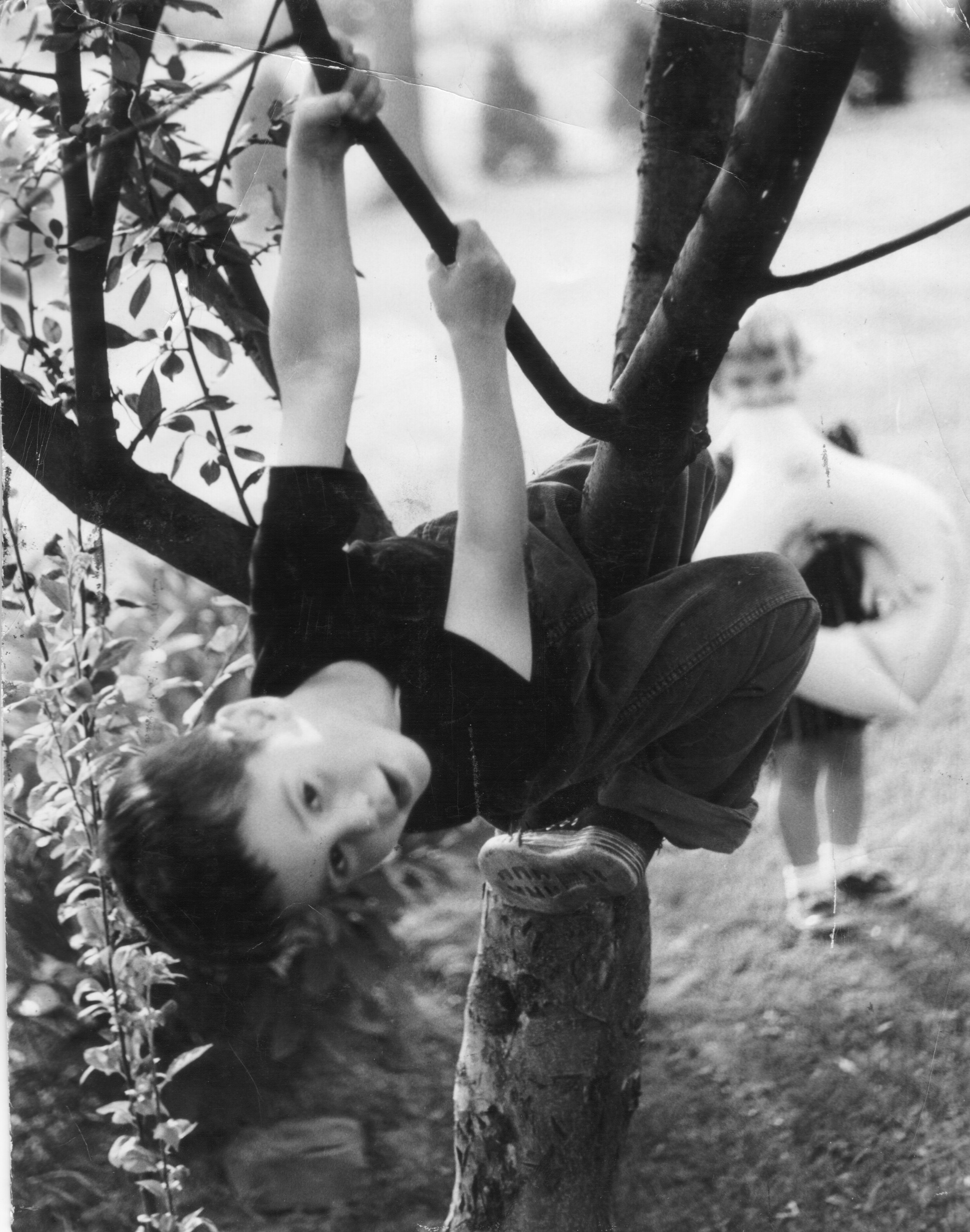 Kevin Hoffberg as a boy, hanging from a tree branch